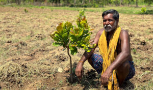 Voices from the Field – A Volunteer’s Experience in Rural Odisha